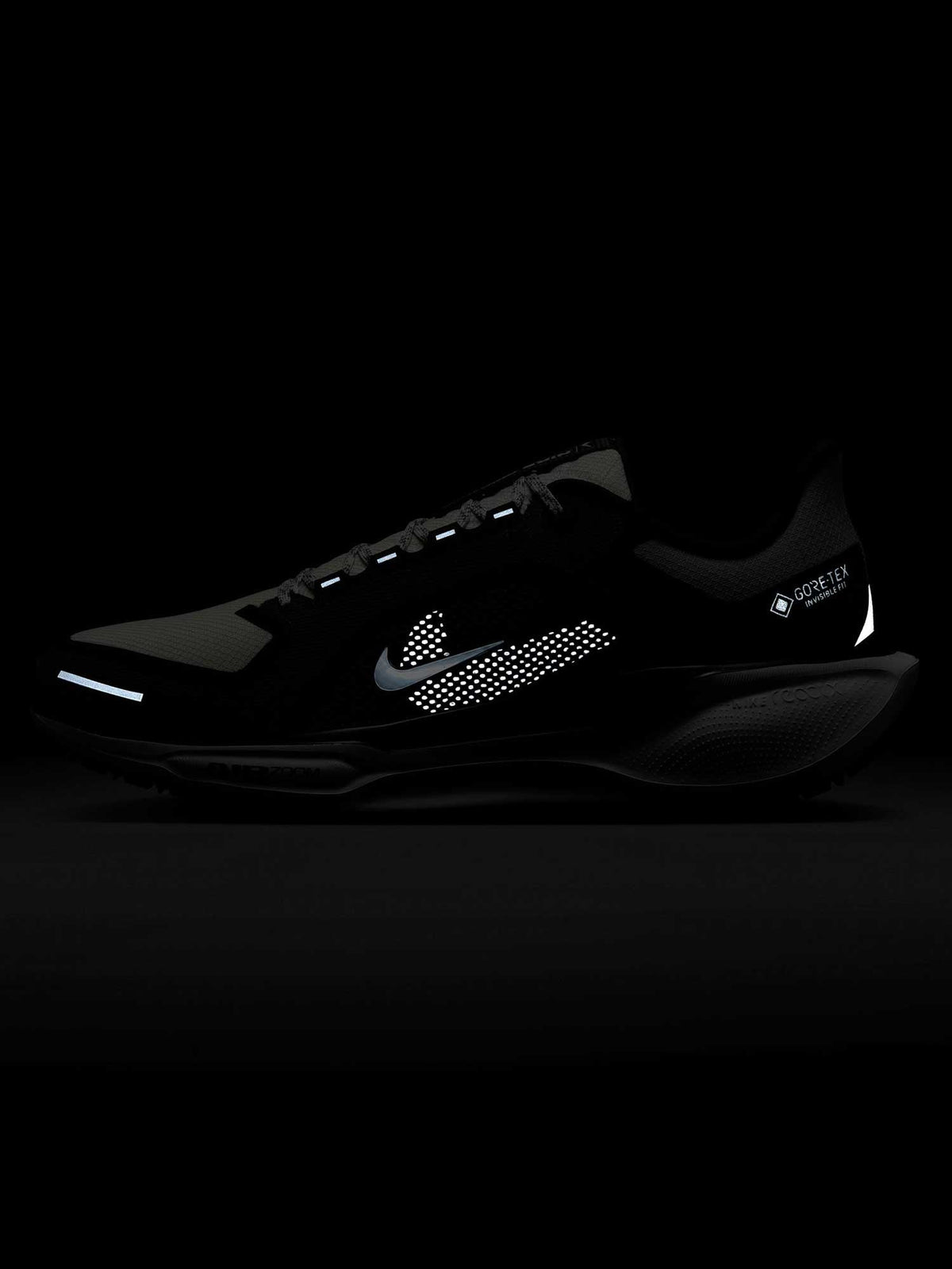 NIKE Обувки AIR ZM PEGASUS 41 GTX