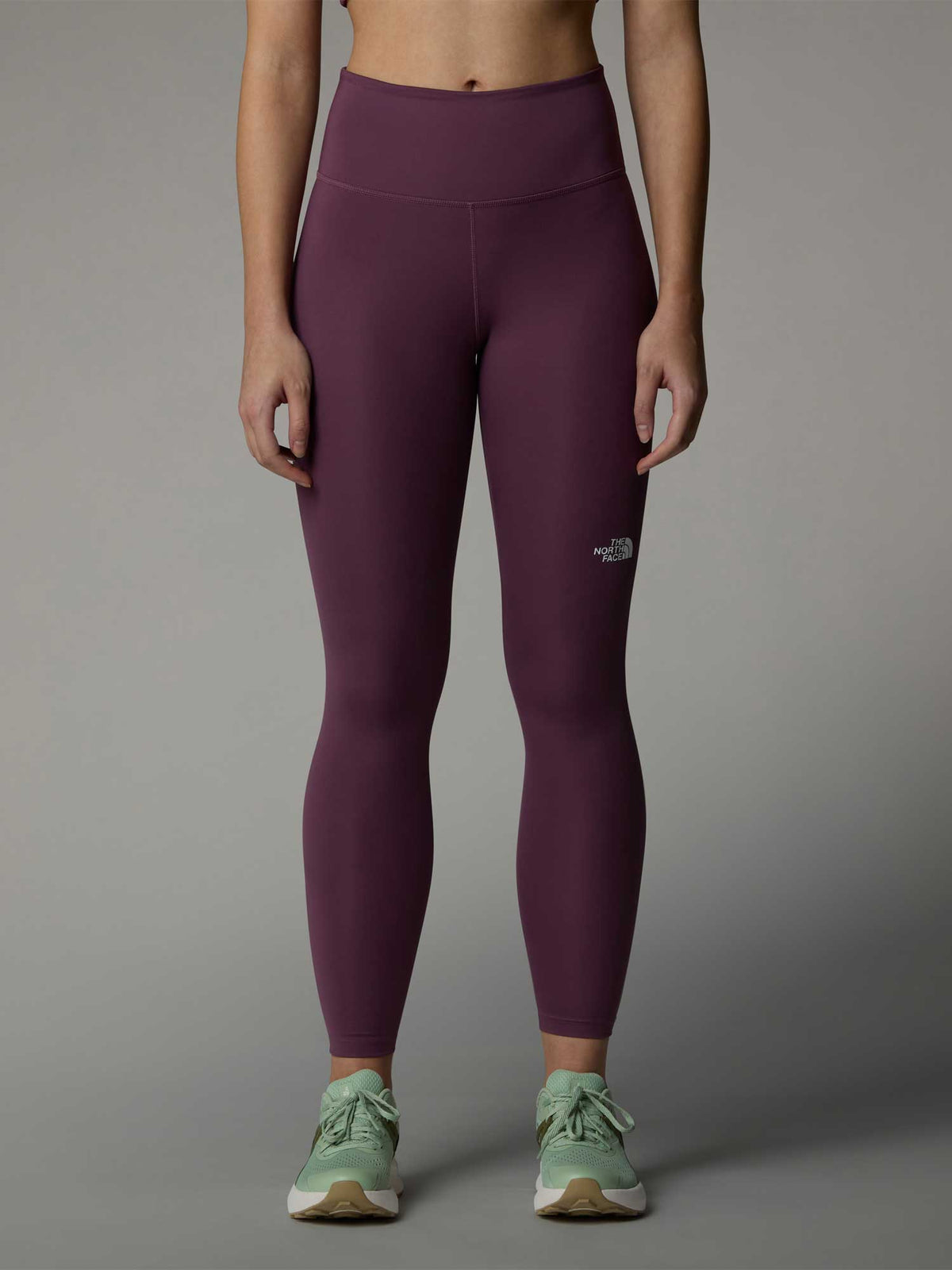 THE NORTH FACE Клин W FLEX 25IN TIGHT