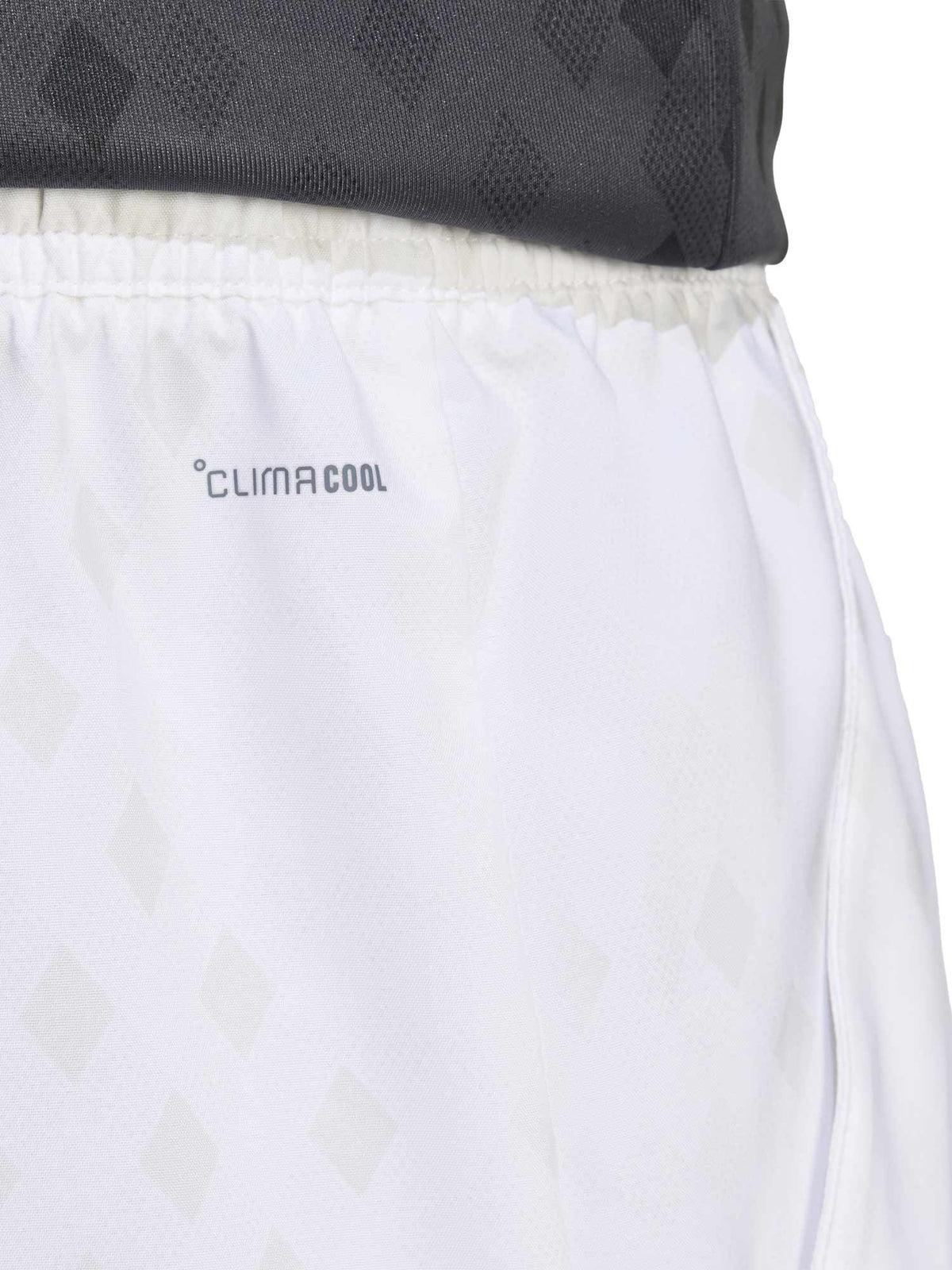 ADIDAS PERFORMANCE Къси панталони Club Tennis Climacool Graphic