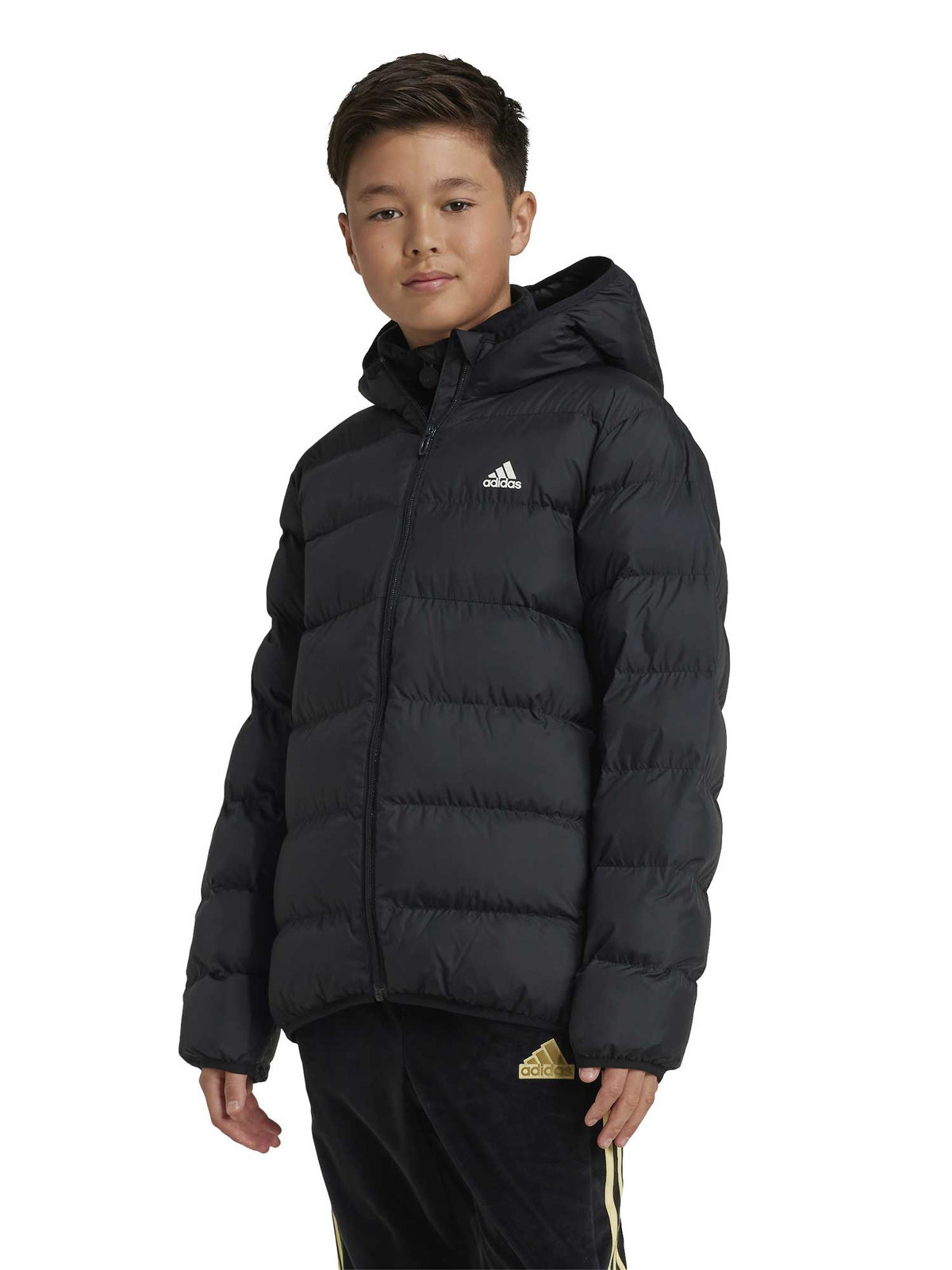 ADIDAS SPORTSWEAR Яке Synthetic Down Jacket
