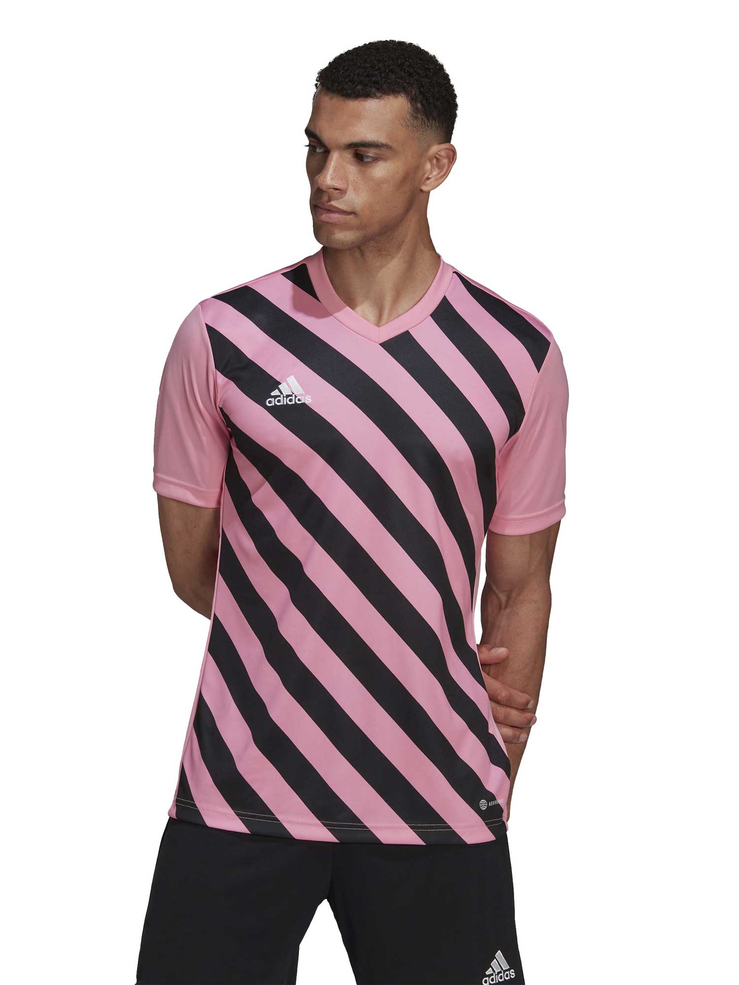 ADIDAS PERFORMANCE Тениска Entrada 22 Graphic Jersey