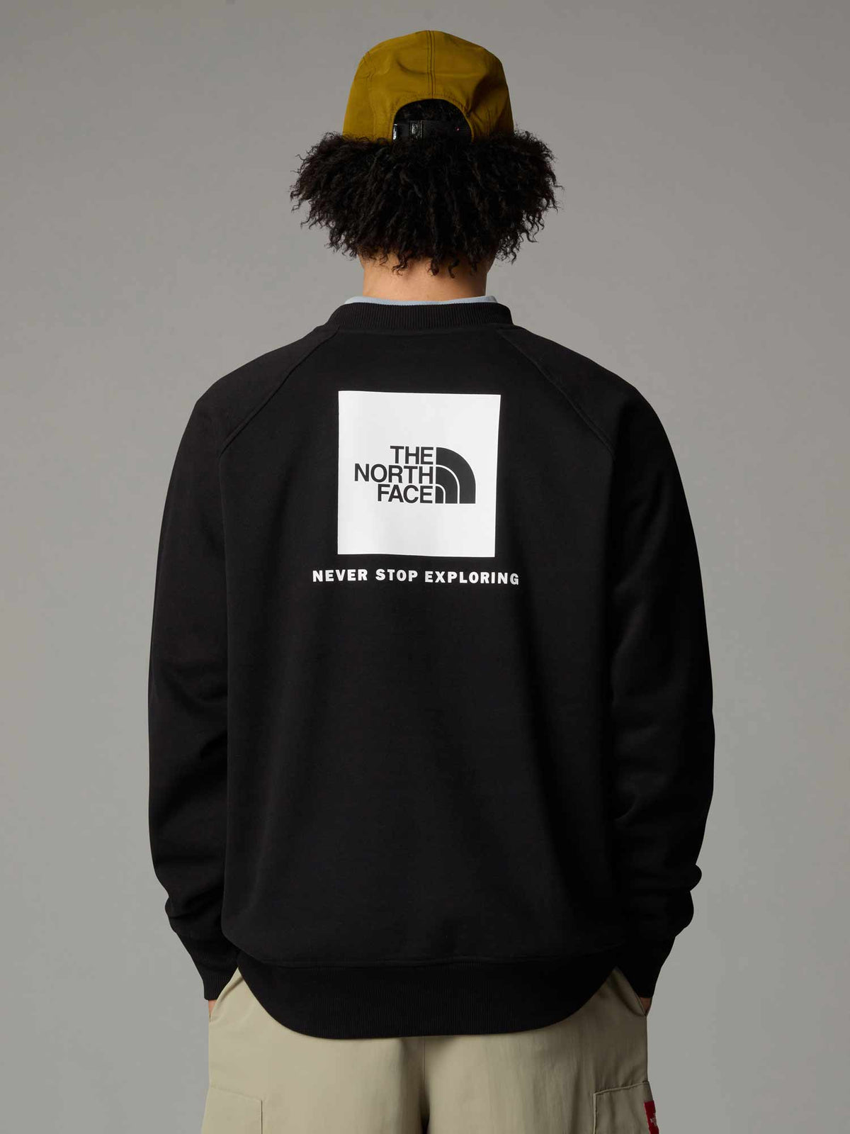 THE NORTH FACE Блуза M RAGLAN BOX NSE REGULAR CREW