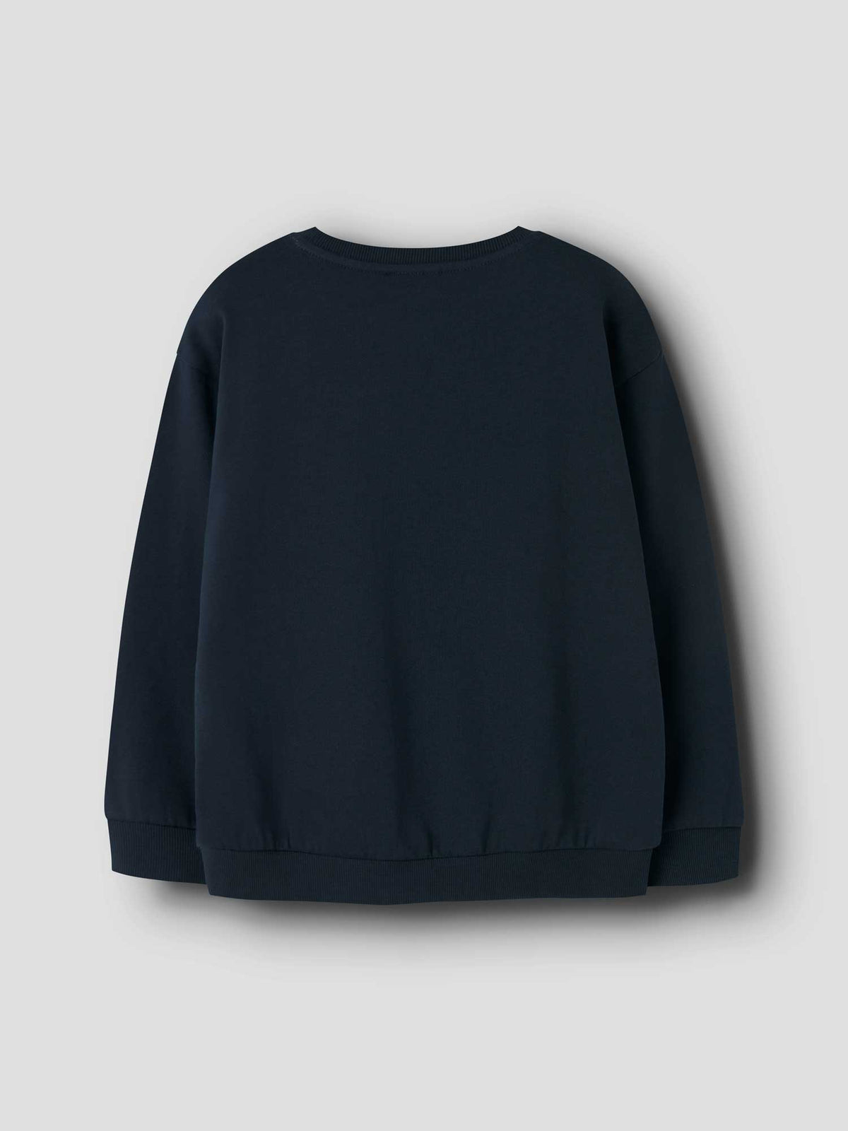 NAME IT Блуза NKMVILDAR LS NREG SWEAT BRU